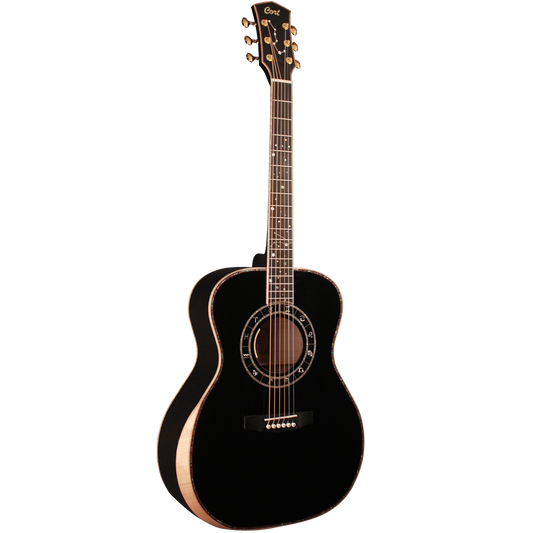 Cort Seven Star Semi Acoustic Guitar